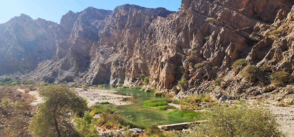 WADI ARBEEN 3