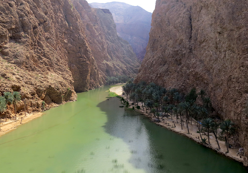 la spettacolare Wadi Shab incastonata fra pareti verticali