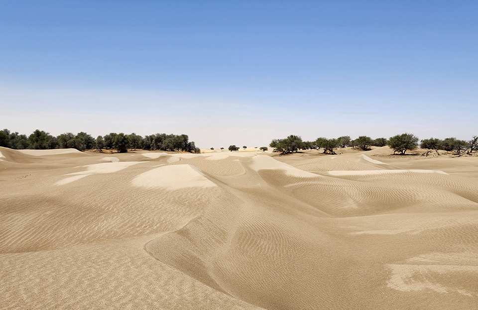 uno dei meravigliosi deserti dell'Oman con le sue sabbie chiare